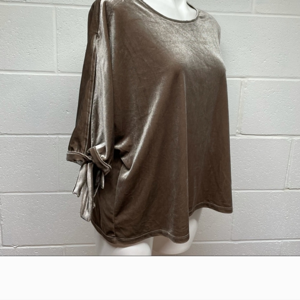 Simply Styled Tan Velvet Top - Picture 2 of 10